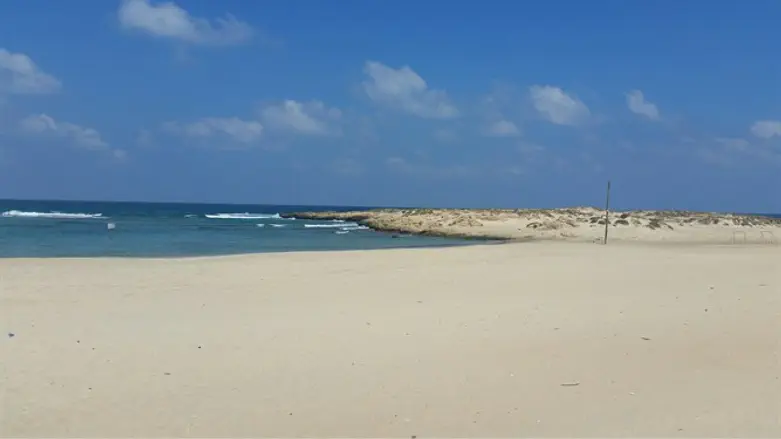 Beach (illustrative)