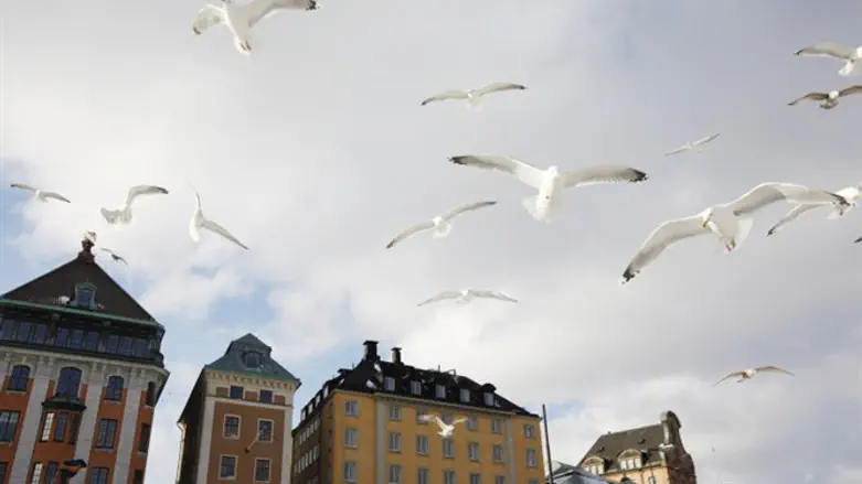 Stockholm, capital of Sweden.