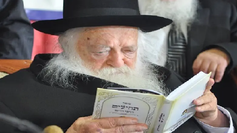 Chaim Kanievsky and HaRav Yaakov Eidelstein