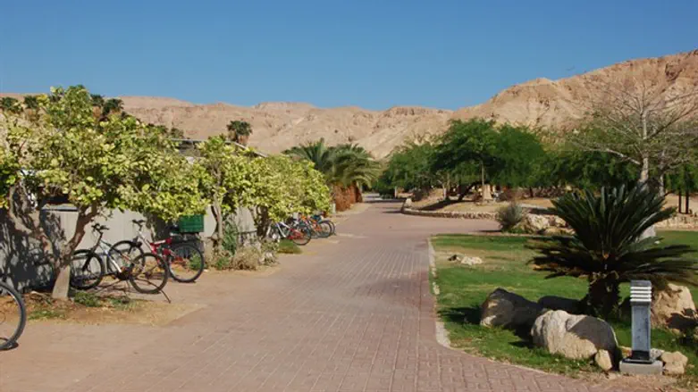 Kibbutz
