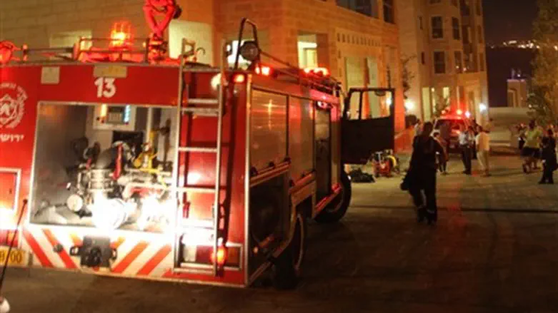 Firefighters (illustration)