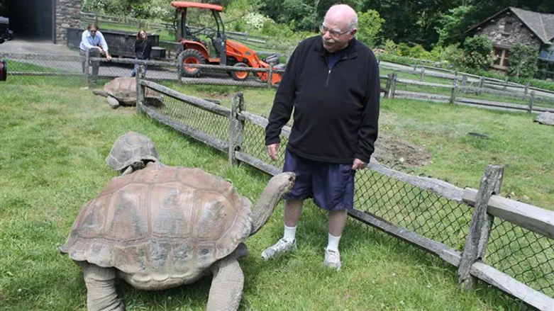 Michael Steinhardt interacting with his tortoises.