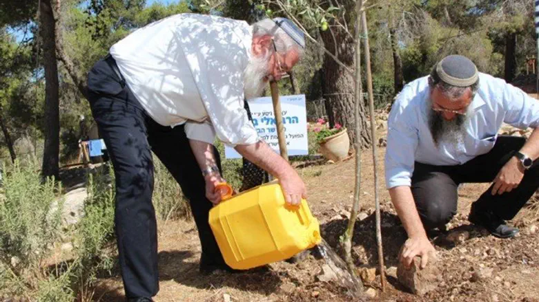 Rabbi Ben Dahan watering tree in Gush Etzion
