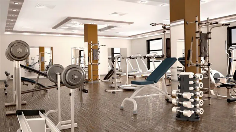 Gym equipment