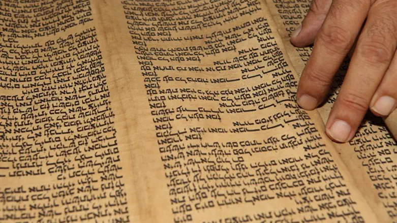 Torah scroll