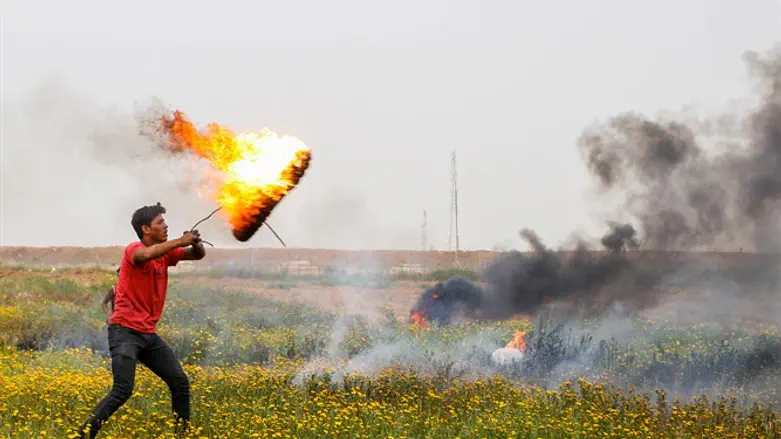 INTO THE FRAY: Swastikas over Gaza