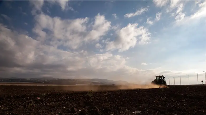 Tractor plows field in Israel