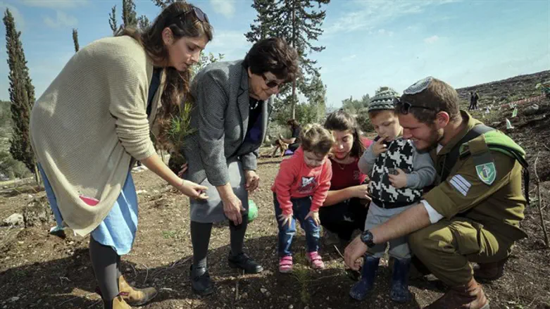 KKL-JNF planting event