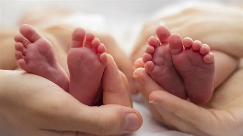 Babies, babies, babies