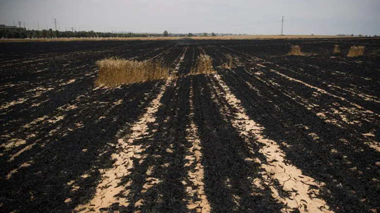 A scorched field near the Israel-Gaza border