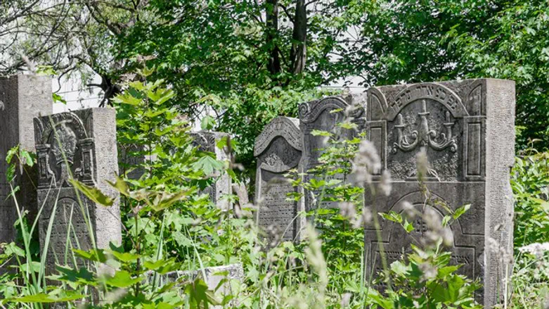 Old Jewish cemetery in Ukraine