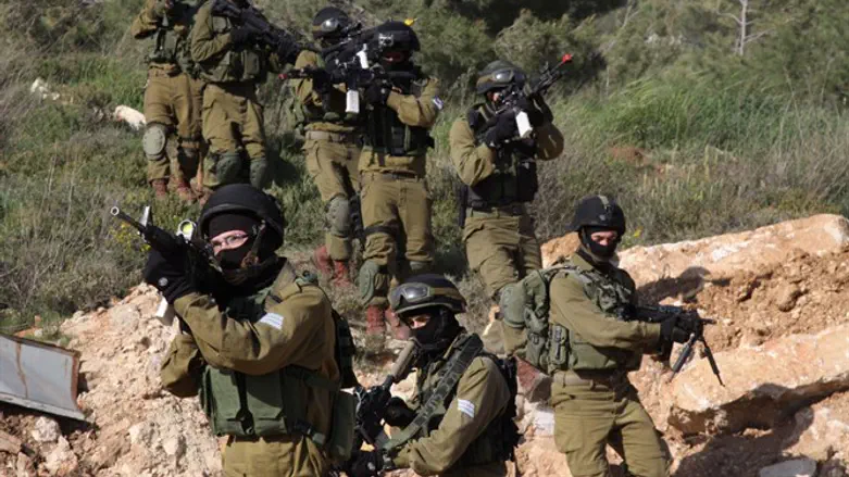 Searching for terrorists