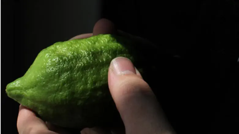 Etrog