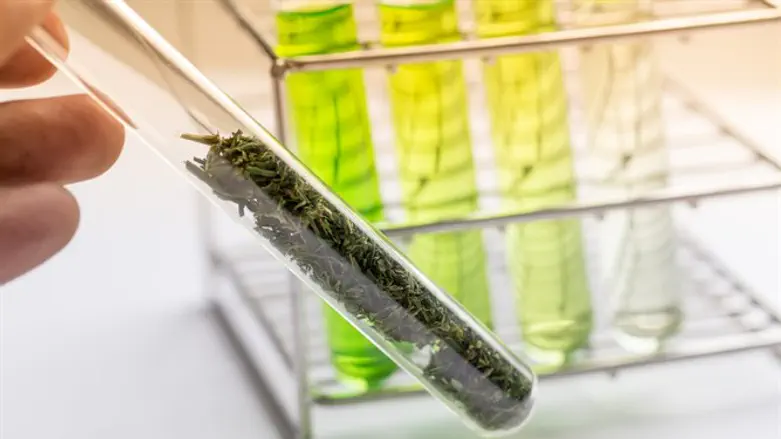 Laboratory cannabis analysis