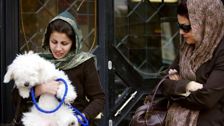 Iranian woman holds her dog outside of Tehran bank