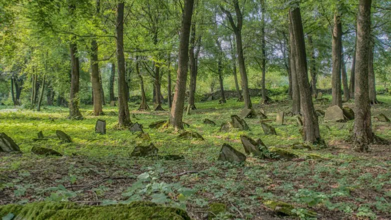 Jewish graves (illustration)