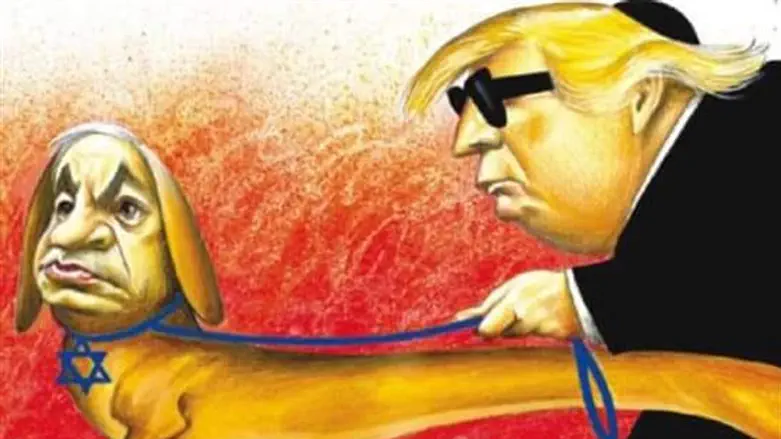 Controversial cartoon carried by the Times