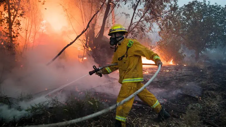 Firefighters work to extinguish forest fire near Kibbutz Harel, May 23, 2019.