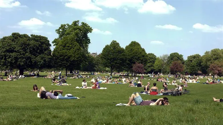 Park (illustrative)