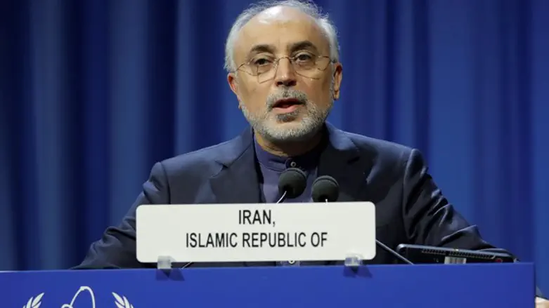 Ali Akbar Salehi