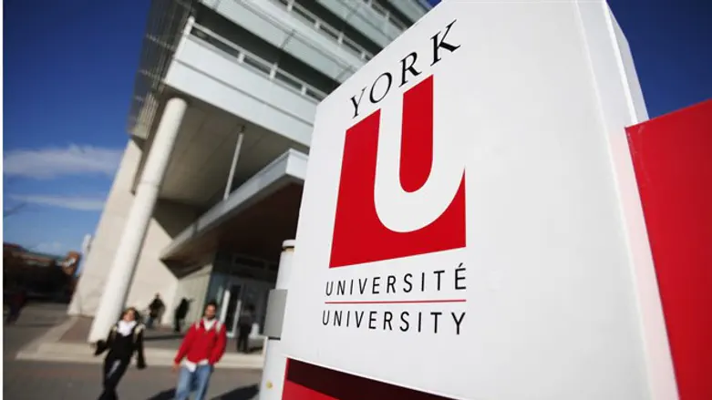 York University, Toronto