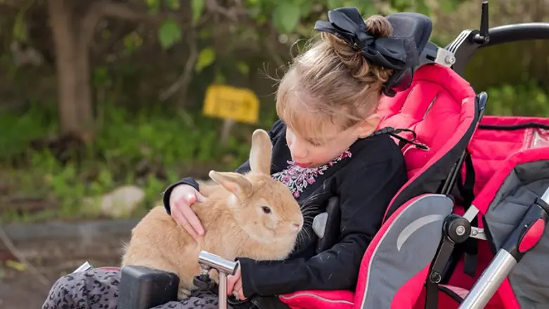 Child holding rabbit at Ohel Dov