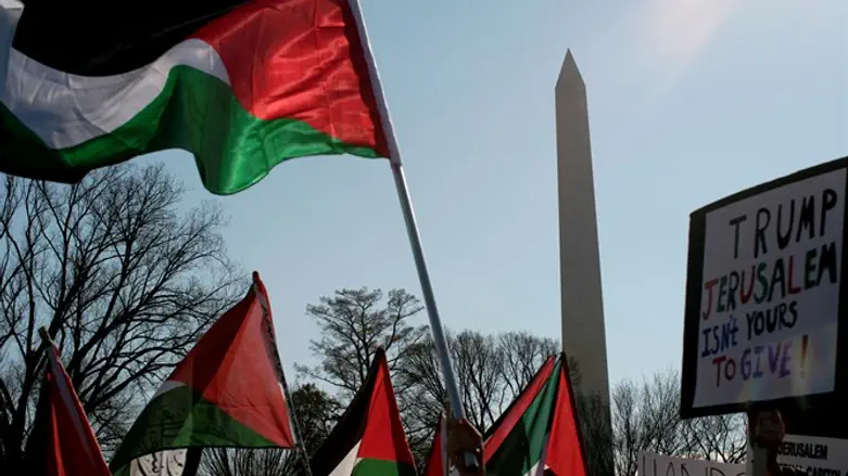 Anti-Israel protest in Washington (archive image)