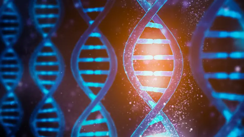 Genetics